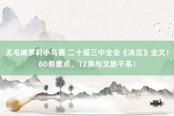 无毛嫩萝莉小鸟酱 二十届三中全会《决定》全文!60条要点,12条与文旅干系!