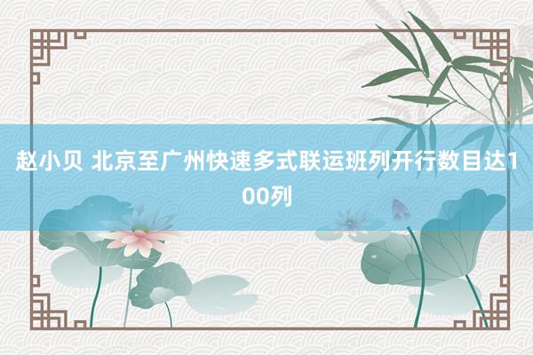 赵小贝 北京至广州快速多式联运班列开行数目达100列