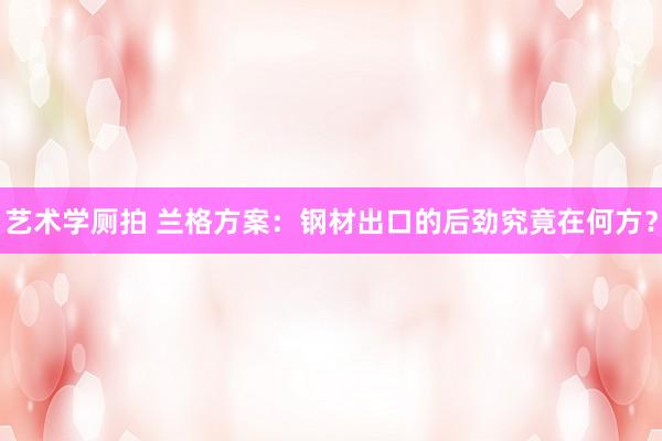 艺术学厕拍 兰格方案：钢材出口的后劲究竟在何方？