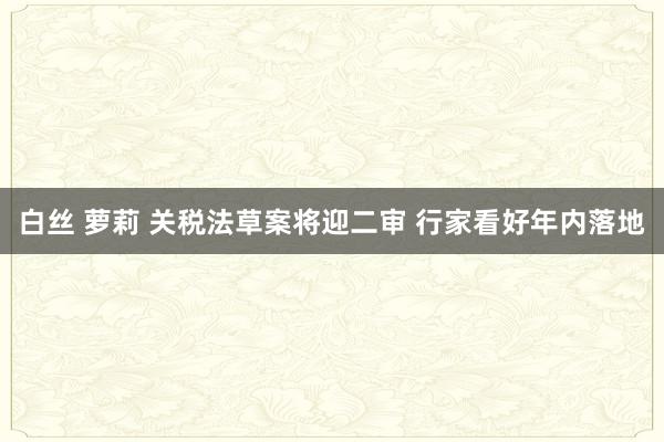 白丝 萝莉 关税法草案将迎二审 行家看好年内落地