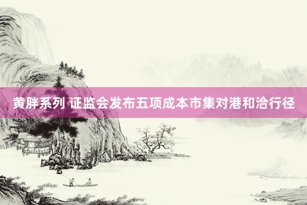 黄胖系列 证监会发布五项成本市集对港和洽行径
