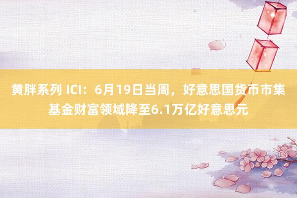 黄胖系列 ICI：6月19日当周，好意思国货币市集基金财富领域降至6.1万亿好意思元