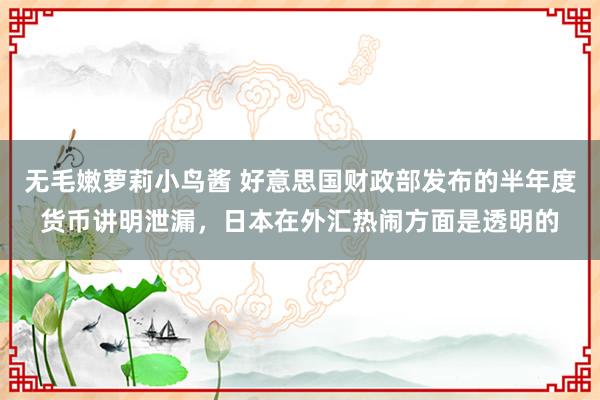 无毛嫩萝莉小鸟酱 好意思国财政部发布的半年度货币讲明泄漏，日本在外汇热闹方面是透明的