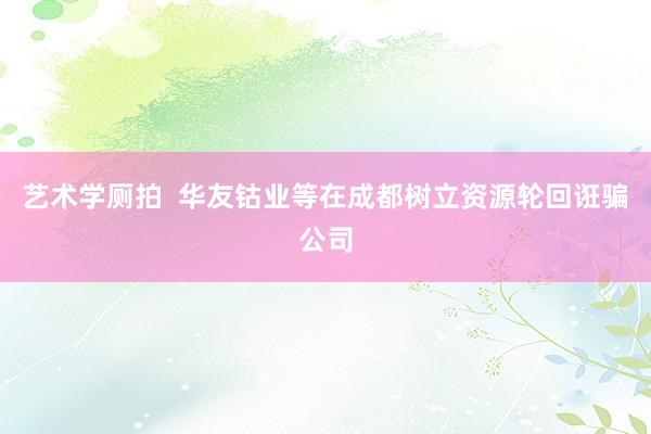 艺术学厕拍  华友钴业等在成都树立资源轮回诳骗公司