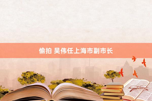 偷拍 吴伟任上海市副市长