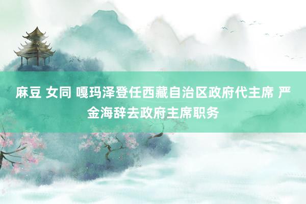 麻豆 女同 嘎玛泽登任西藏自治区政府代主席 严金海辞去政府主席职务