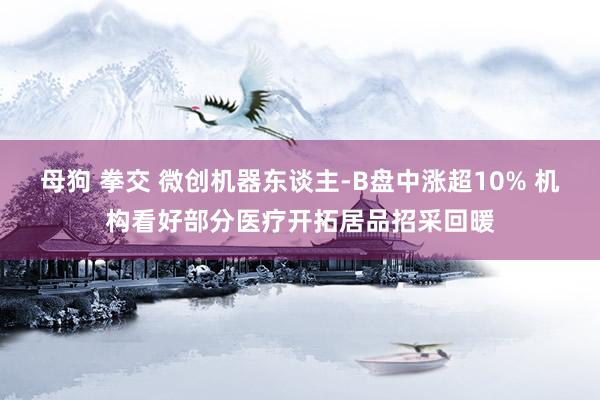 母狗 拳交 微创机器东谈主-B盘中涨超10% 机构看好部分医疗开拓居品招采回暖