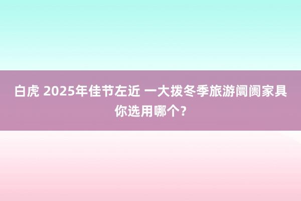 白虎 2025年佳节左近 一大拨冬季旅游阛阓家具你选用哪个？
